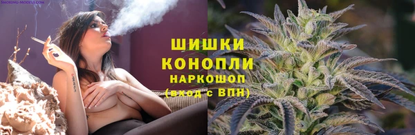 винт Бородино